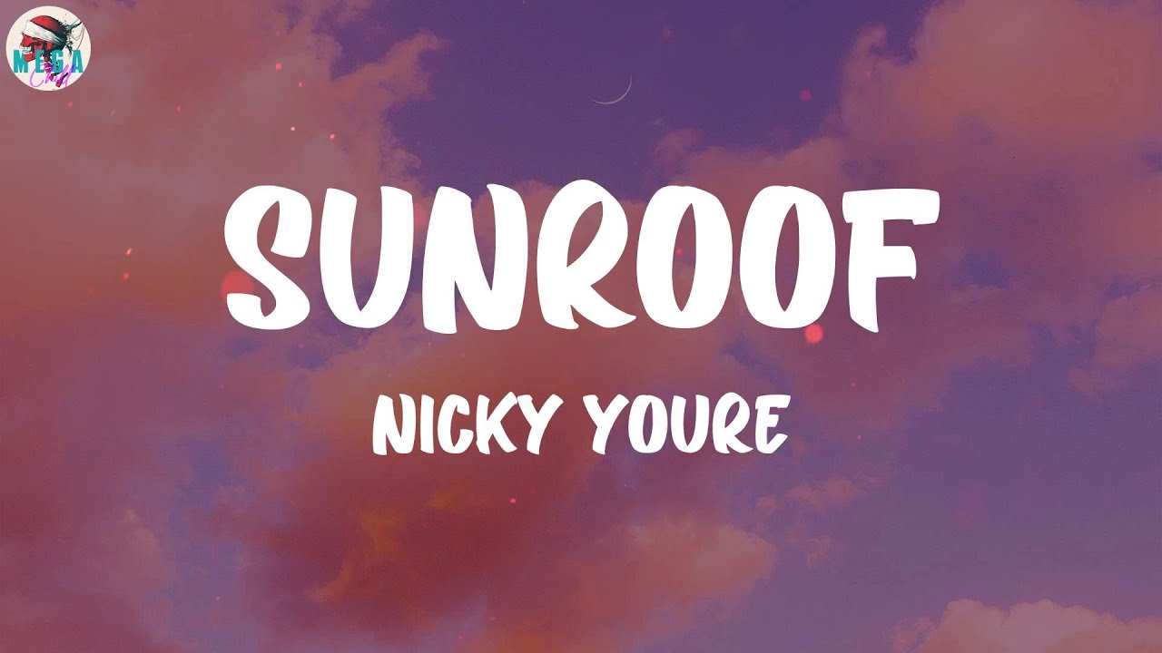 Nicky Youre Sunroof (Lyrics) YouTube