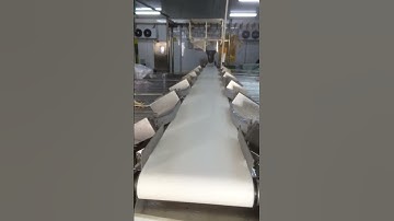 2025 Video case of weight sorting of whole chickens, ducks and geese. #weighingscale #machine