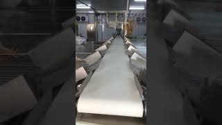 2025 Video case of weight sorting of whole chickens, ducks and geese. #weighingscale #machine