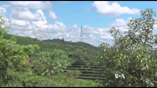 China Catching Coffee Buzz