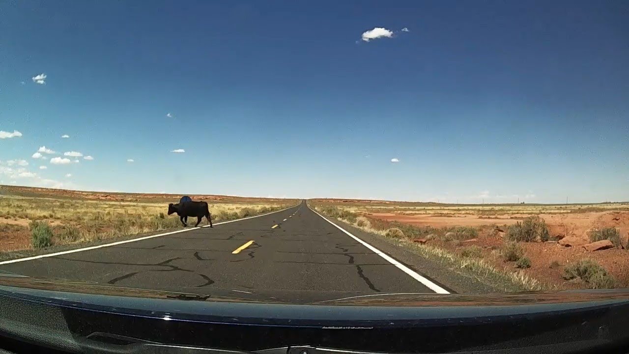 Holbrook to Williams, AZ