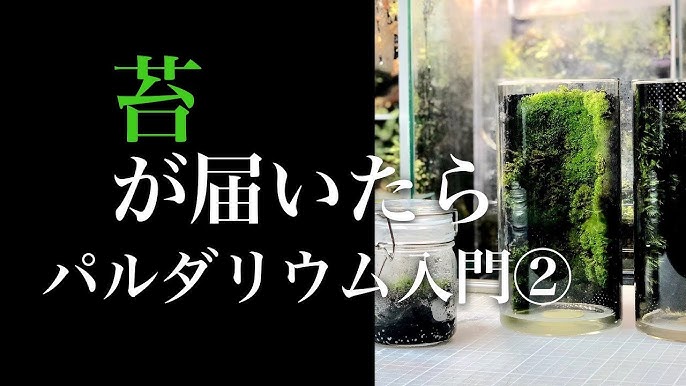 ケージ自作 本格１枚扉式 小型ケージを作る Adaクリアガラスフタ5枚使用 015 Youtube
