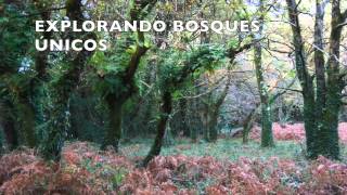 visita isla de cortegada