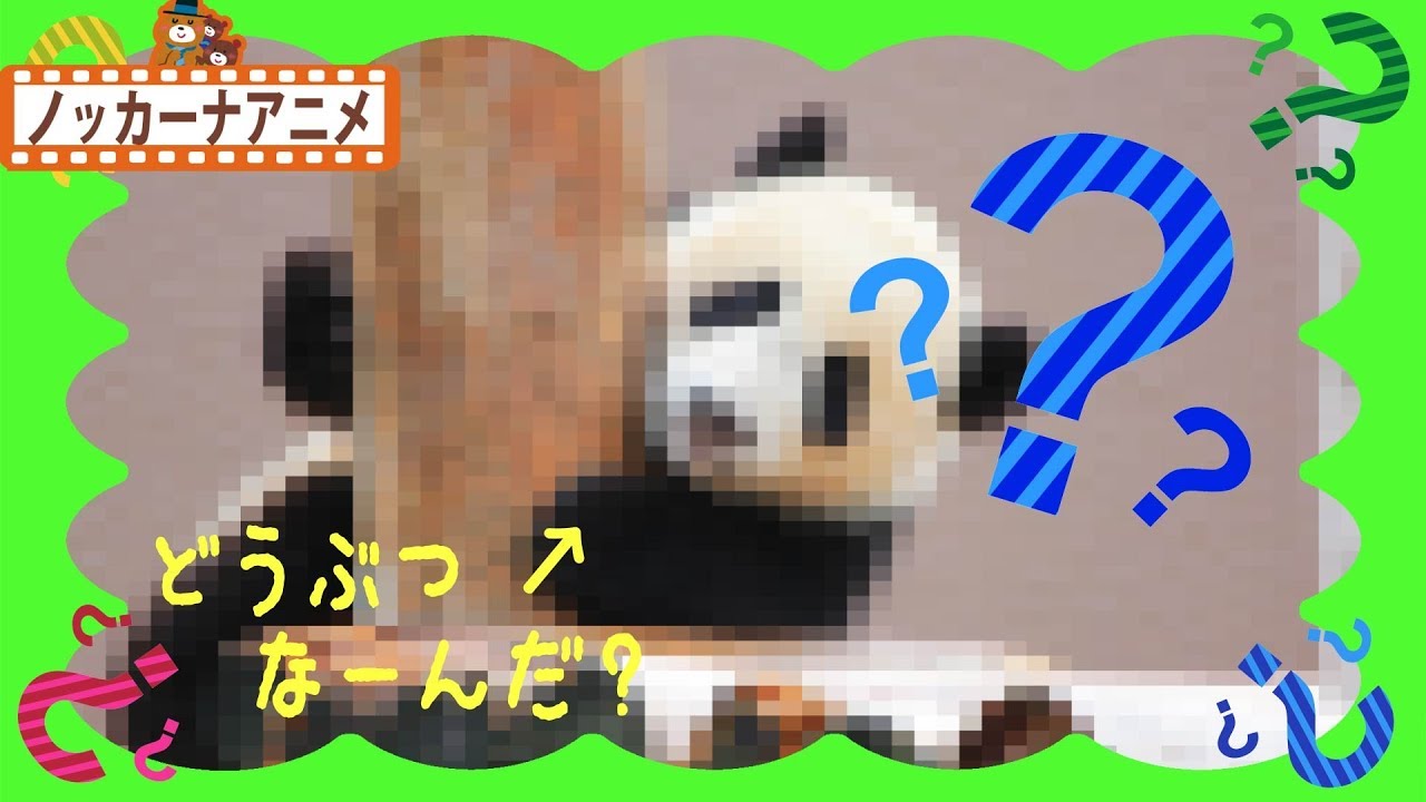 どうぶつ なーんだ？動物がかくれんぼしてるよ！パンダ・キリン・ゾウ