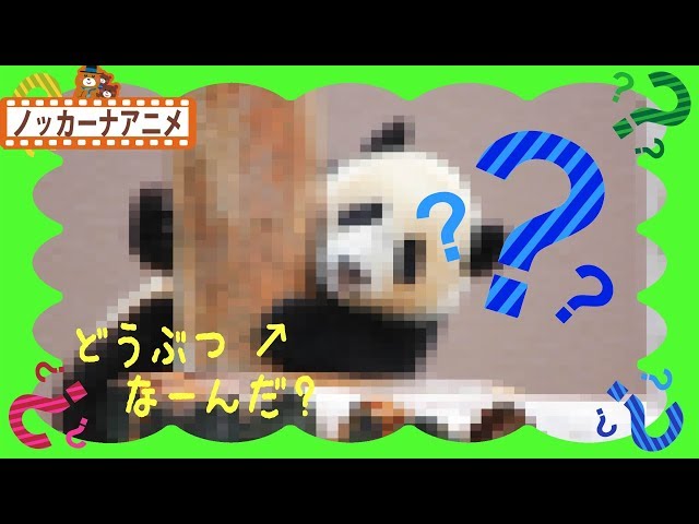 どうぶつ なーんだ？動物がかくれんぼしてるよ！パンダ・キリン・ゾウ