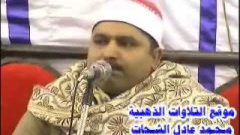 الشيخ محمد محمد الليثى _ سورة النمل