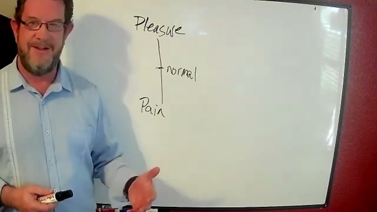 The Pleasure Principle: The ONE Thing That Drives EVERYTHING