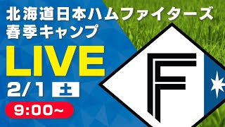 【特別LIVE】2/1 朝9:00～ ティーバイティーガレージ presents ファイターズキャンプLIVE 2025～北海道日本ハムファイターズ～