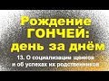 Сюжет 13. О социализации щенков и об успехах их родственников