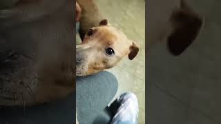 She adopted this dog that no one wanted ♥️