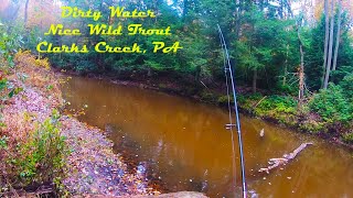 DIRTY WATER & Nice Wild Trout - Clarks Creek PA