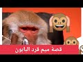 قصة ميم القرد أبو هاتف علي السوشيال ميديا 