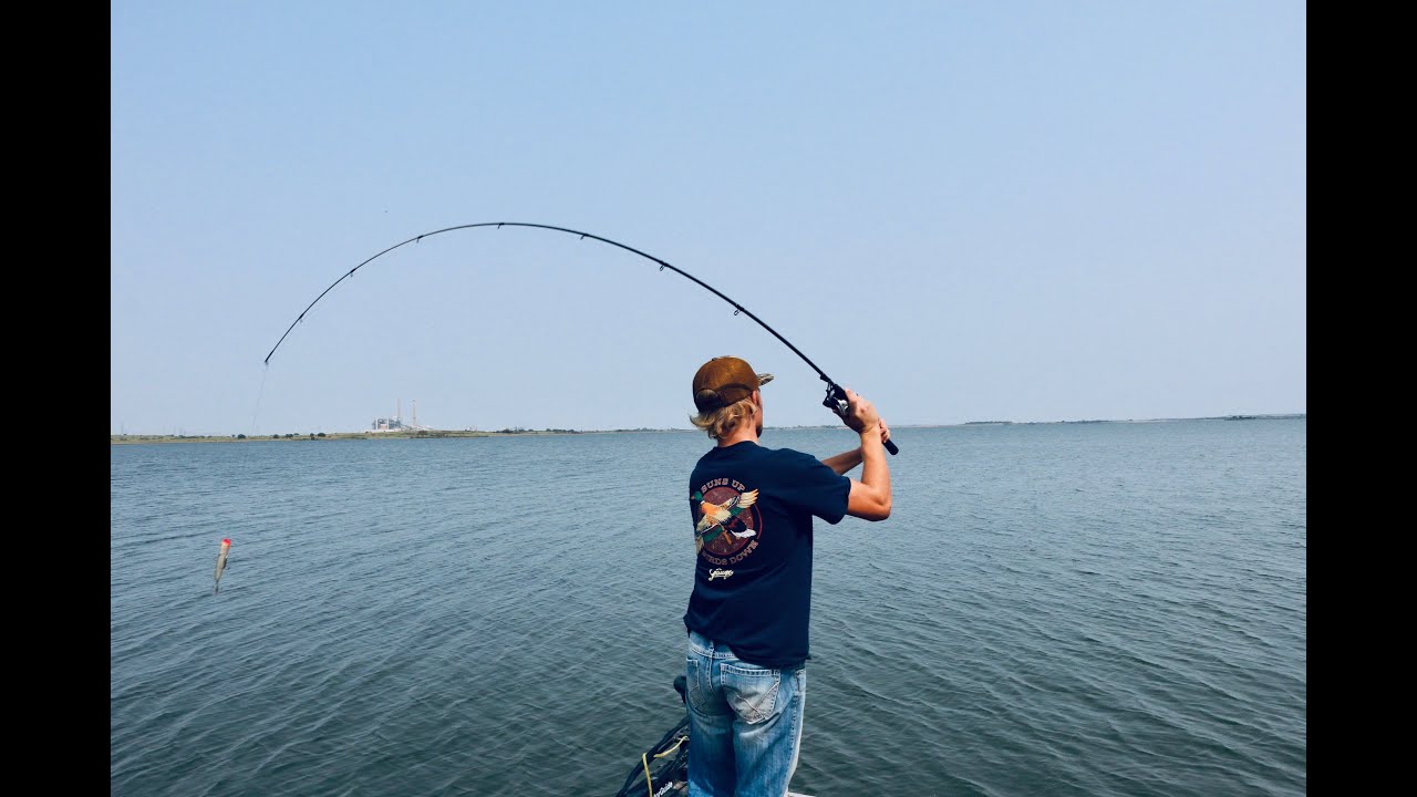 Catching hybrid at Sooner Lake discharge in Northern Oklahoma!
