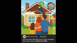 Bugs-Go Insulation Means Pest Protection From Top To Bottom