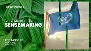 The Road to COP27