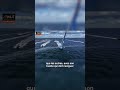 Sébastien Simon’s brand-new boat has some serious speed! 🚀 #DéfiAzimut