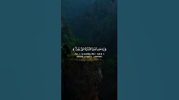 🕌✨ صوت يريح القلب | سورة العنكبوت للشيخ #ياسر_الدوسري 📖 #قرآن #اسلام