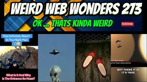 weird web wonders 273