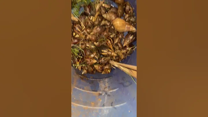 I hate them so much! #shorts #garden #pests