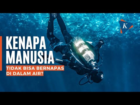 Video: Mengapa kita tidak bisa bernapas di dalam air?