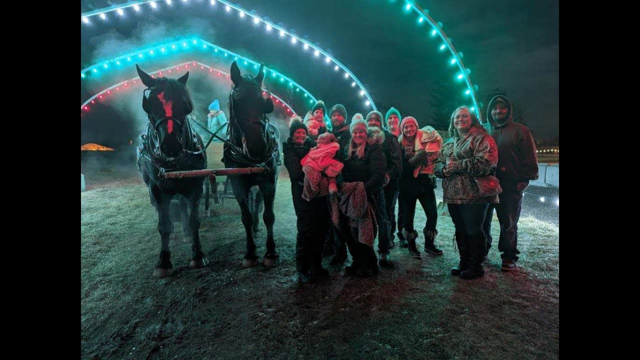 Horse Drawn Sleigh Ride at Roden Barnyard Adventures