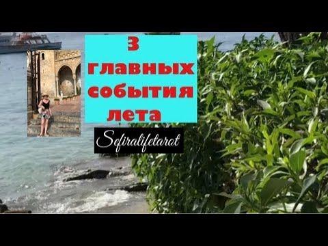 СТРЕЛЕЦ ♐️ :
