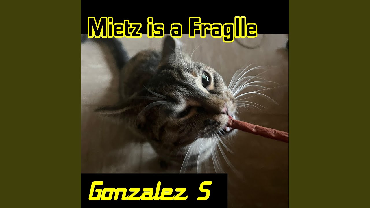 YouTube에서 Loop De Moi 보기 YouTube에서 Loop De Moi 보기