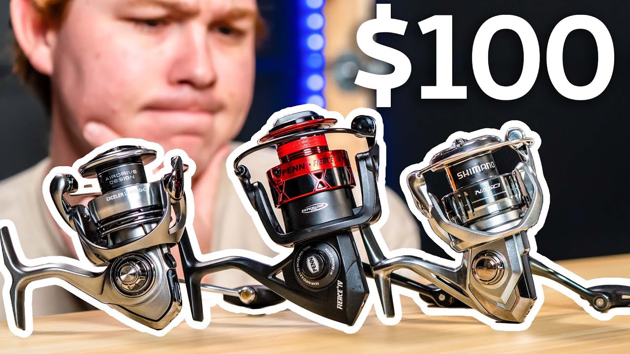 Best Spinning Reel for $100 in 2024  Nasci VS Exceler LT VS Fierce IV 