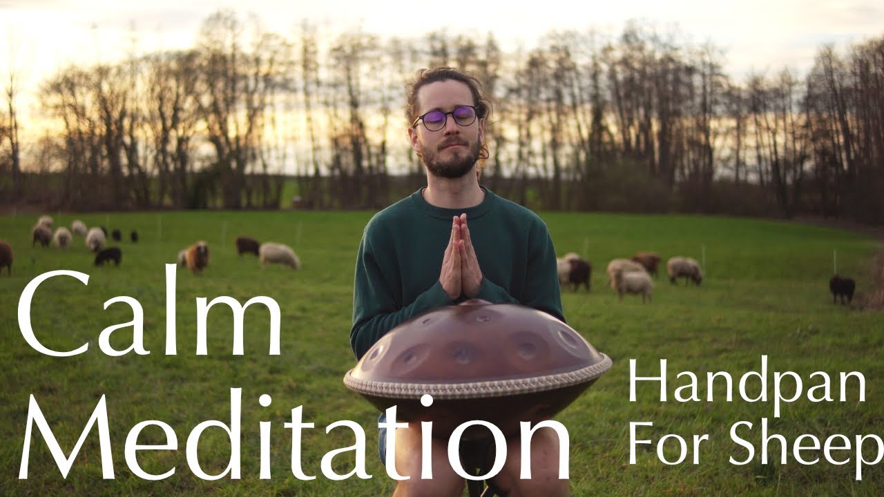 Calm Meditation | 30mins handpan music | Alexander Mercks