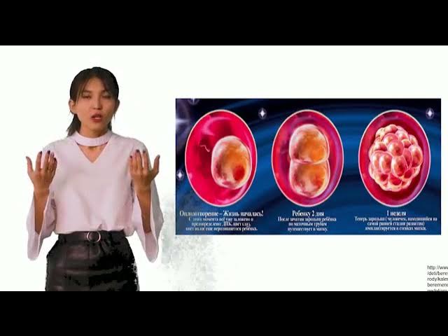 Бір тесікте үш әтеш порно видео