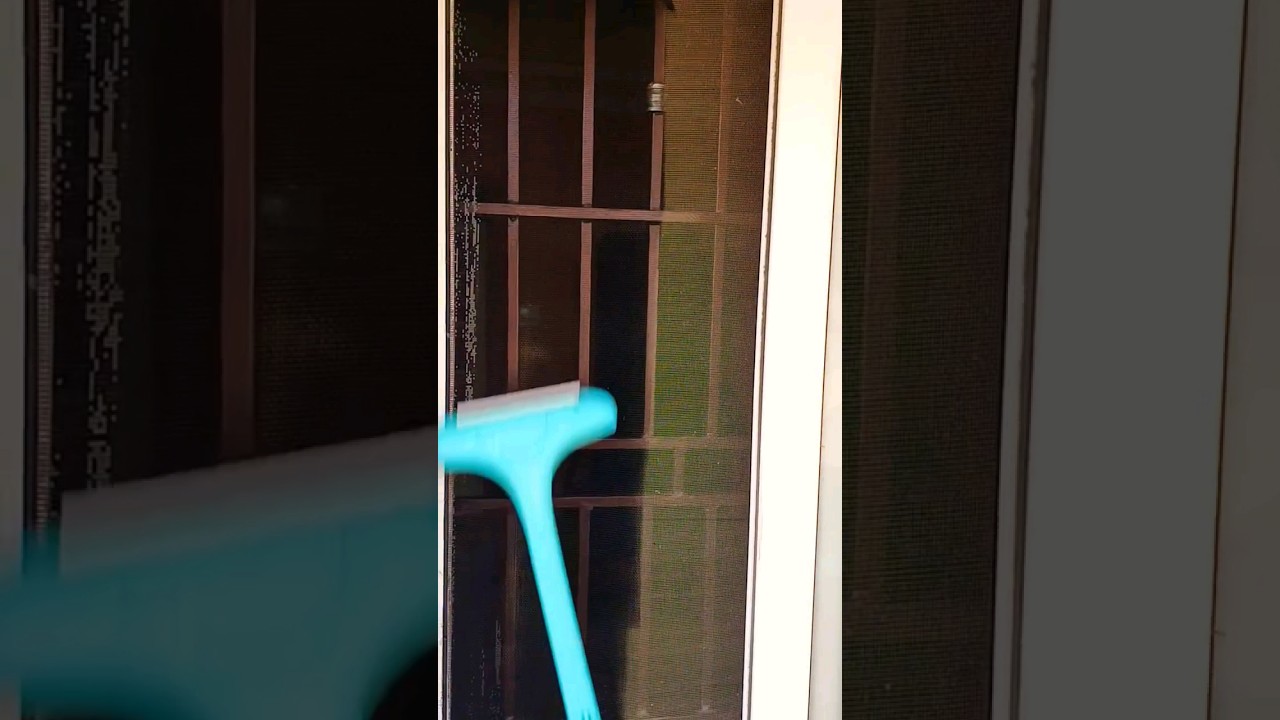 Cleaning hack easy tips to clean window mesh 