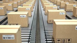 How Automated Package Sorting Works | Smart Warehouse Logistics in Action 🚚📦