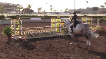 Video of Nivelo ridden by Lindsay Ransom from ShowNet!