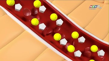 SALACIMAL Bước đột phá mới hỗ trợ điều trị bệnh Tiểu đường | Thời sự HTV9