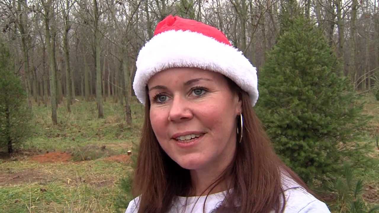 Cutting Your Christmas Tree YouTube