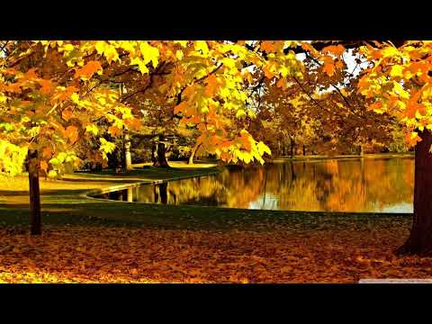 0Gravity — 0Gravity - Chase Your Dreams [FSOE]