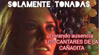 Video thumbnail of "CANTARES DE LA CAÑADITA/Llorando ausencia- tonada"