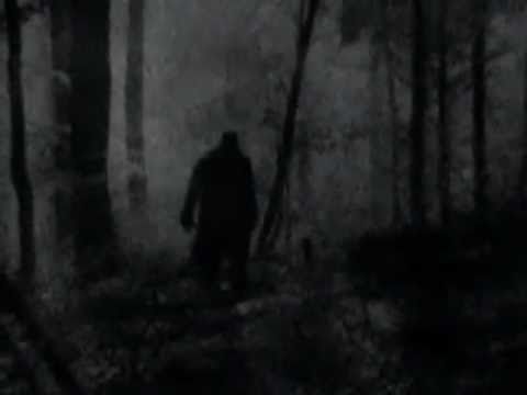 |||_-_||| - Wandering In A Unknown World