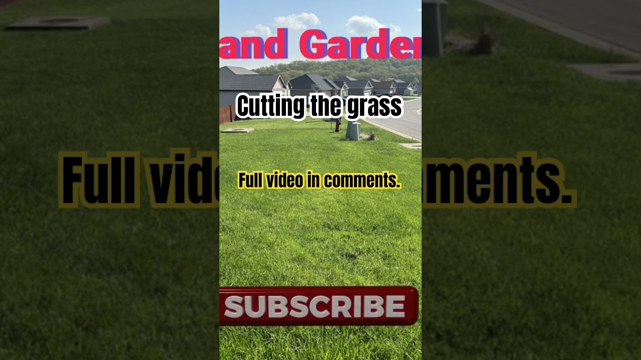 How to cut the grass. 