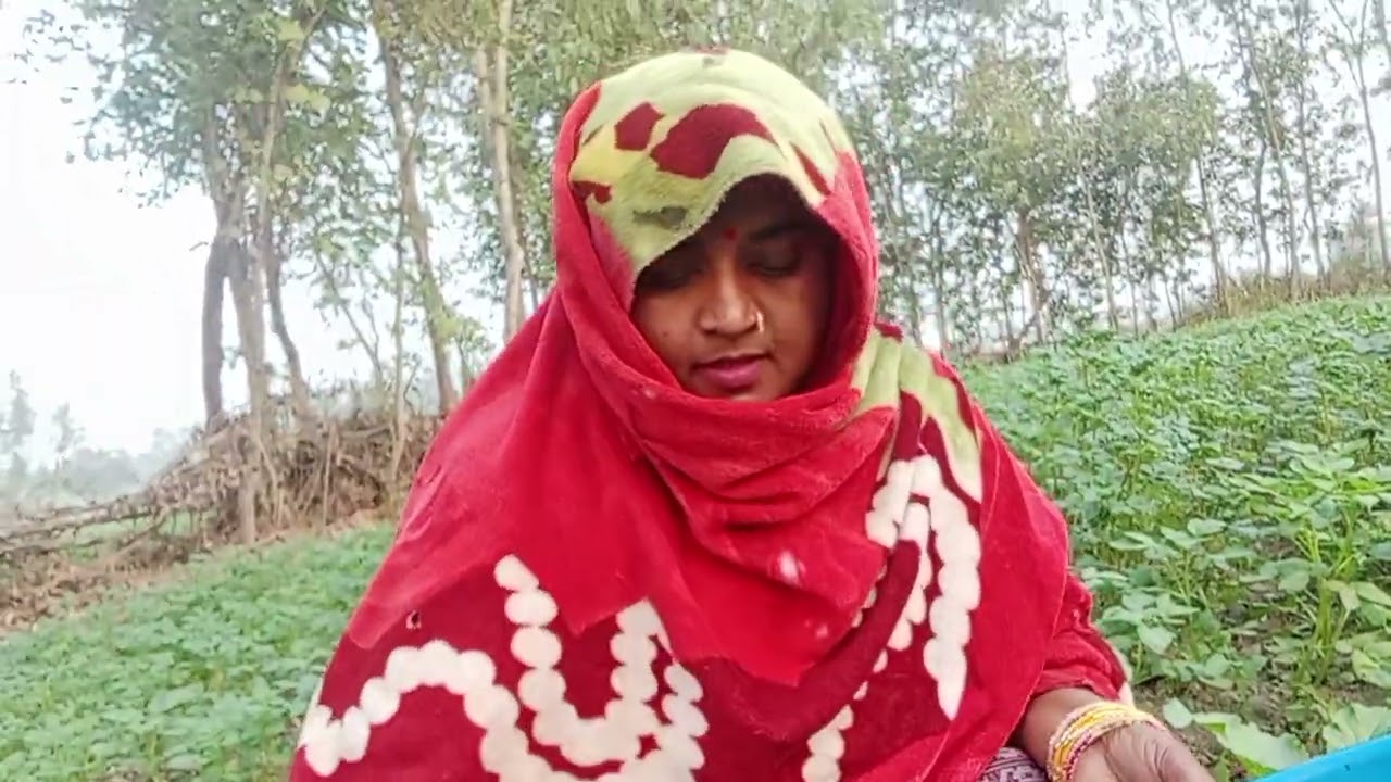 दिव्या गुप्ता 416। ##