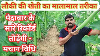 मचान विधि सब्जी उत्पादन में मचा रही धमाल?,lauki ki kheti ke liye machan kaise banayen?