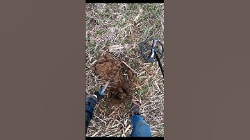 2023 Deus 2 II Metal Detector Live Digs