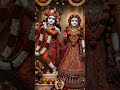jai shree krishna 🪈🪈 #shorts #ytshorts #shortvideo #trending #viral #short #shortfeed #love #krishna