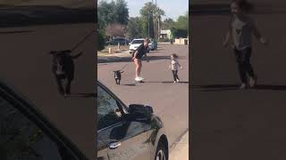 Girl skateboards with dog while little girl runs beside them