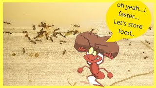Ants Unity | Food Storing