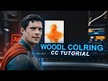 woodl style cc tutorial on after effects