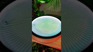 Transform Your Space with the Oasis Mini Kinetic Art Canvas - Watch How it Draws a Monstera Leaf!