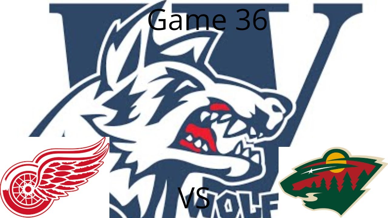 Game 36 Knee Hockey Detroit Red Wings Vs Minnesota Wild