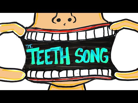 ⁣The Teeth Song: Learn in 3 Minutes!