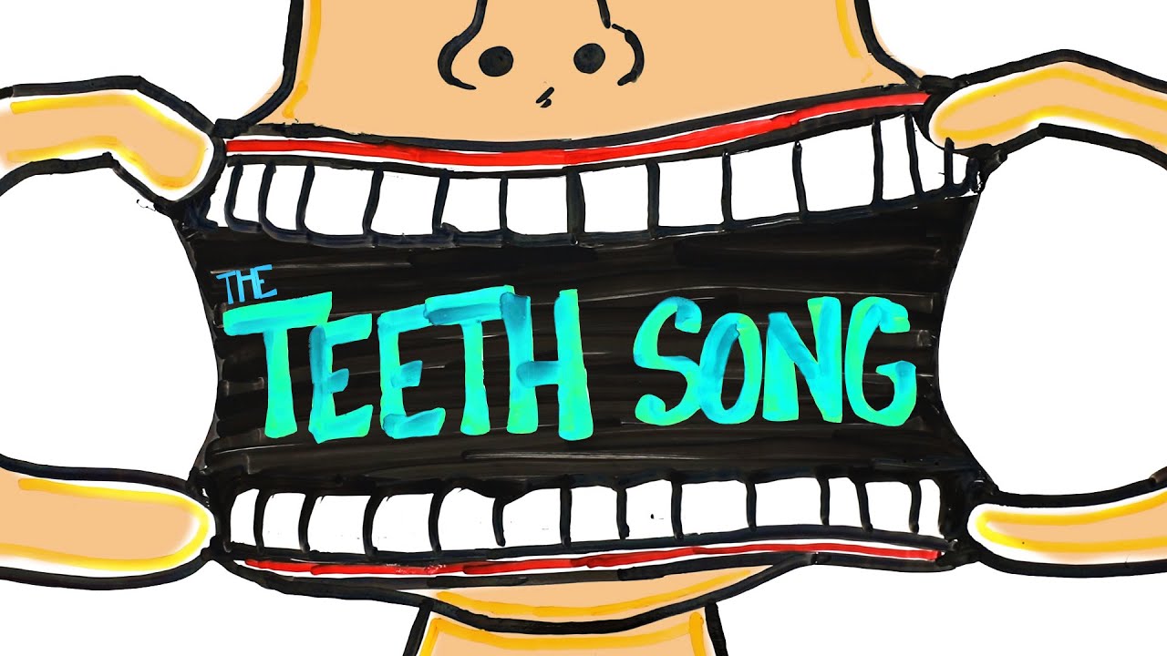 ⁣The Teeth Song (Learn in 3 minutes!) | SCIENCE SONGS